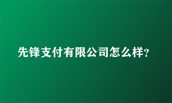 先锋支付有限公司怎么样?