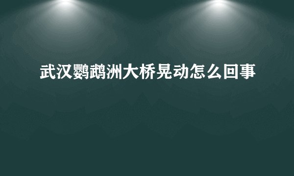 武汉鹦鹉洲大桥晃动怎么回事