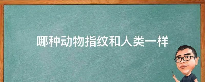 哪种动物指纹和人类一样