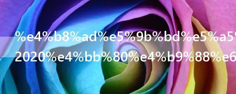 中国好声音2020什么时候播出