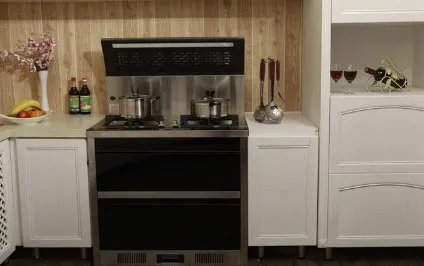 2020年集成灶十大品牌官方排名是什么？