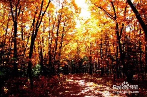 黑龙江省伊春市旅游景点大全