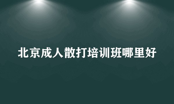 北京成人散打培训班哪里好