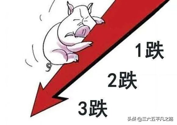 猪价连续下跌九天了，是什么原因造成猪价大跌，何时能上涨？