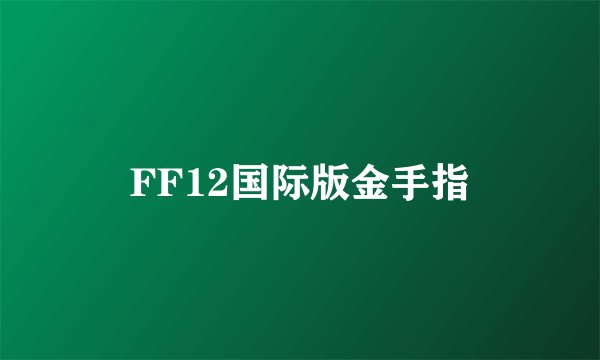 FF12国际版金手指