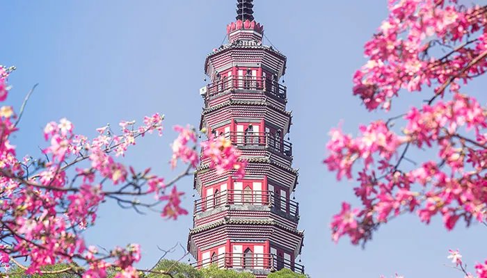 顺德有什么好玩的地方 顺德网红打卡景点