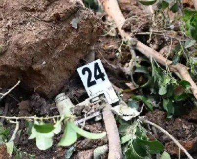 东航失事飞机三名飞行员职务公布,他们在飞行中是否有重大失误?