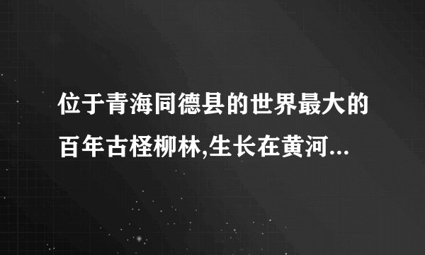 位于青海同德县的世界最大的百年古柽柳林,生长在黄河滩地上,是目前为止发现的唯一一片存在了几百年的柽柳林生态系统,树高、树粗、树龄,还有分布高度都是世界第一。然而,到2018年底,建设中的羊曲水电站大坝落成后,这片全世界独一无二的野生古柽柳林将全部被淹没在水库中。工程投资方提出了移植保护方案,遭到专家们的明确反对。请你推测工程投资方(4分)与专家方(6分)各自的理由。(10分) 河南省中牟县第一高级中学2019届高三第十五次双周考