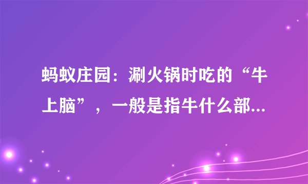 蚂蚁庄园：涮火锅时吃的“牛上脑”，一般是指牛什么部位的肉？