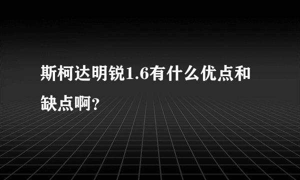 斯柯达明锐1.6有什么优点和缺点啊？