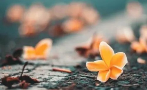 b型血的人是什么性格特点 b型血的人是什么体质