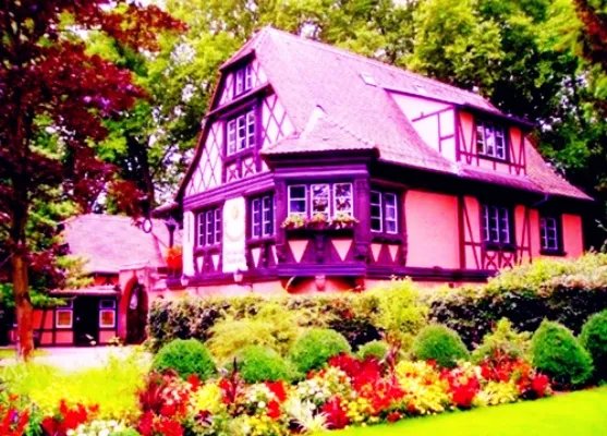 洛诗涵战寒爵小说 洛诗涵战寒爵免费阅读