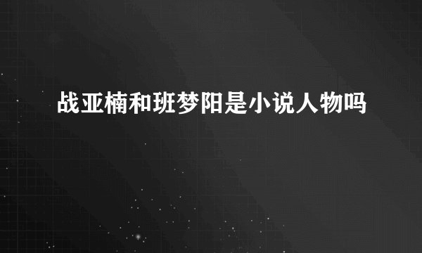 战亚楠和班梦阳是小说人物吗