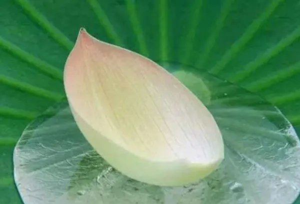 既来之 则安之 这句古语出自