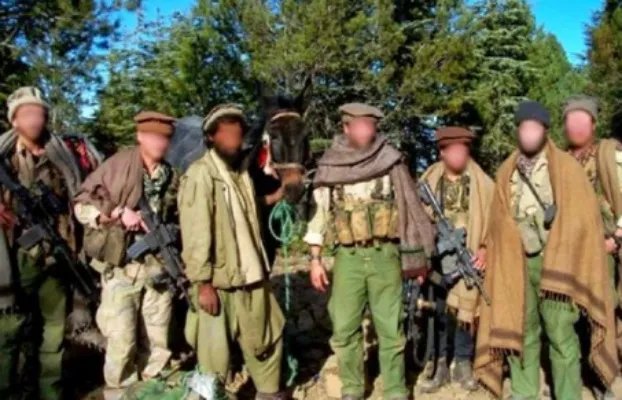 三角洲部队和同门师弟海豹六队相比 谁才是美国特种部队的首把交椅