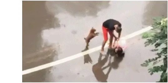 男子雨中殴打怀孕妻子是怎么回事?