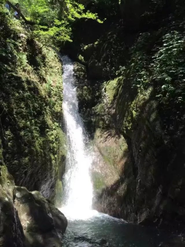 成都青城山好玩吗？