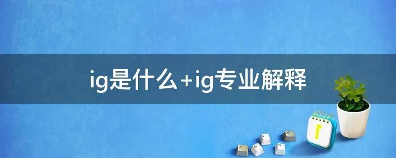 ig是什么 ig专业解释