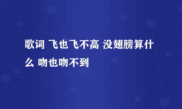 歌词 飞也飞不高 没翅膀算什么 吻也吻不到