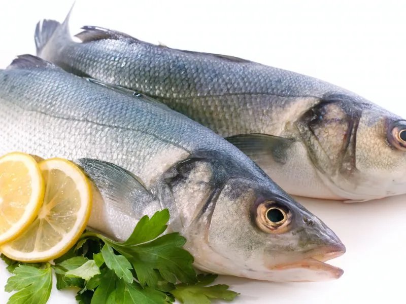 丁桂鱼的营养价值