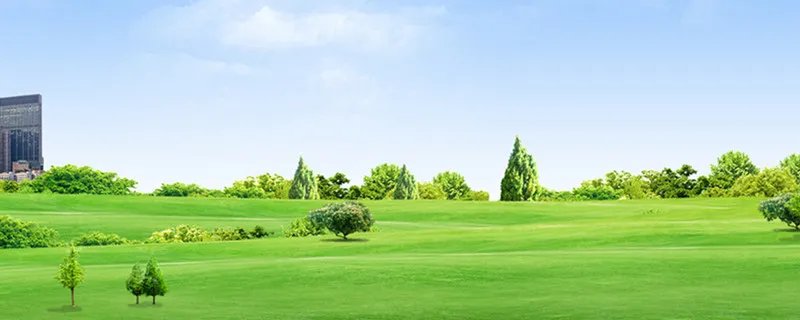 及物动词和不及物的区别 什么是不及物和及物动词