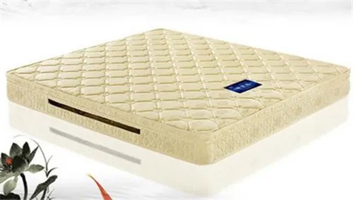 床垫山棕好还是椰棕好  床垫山棕和椰棕的区别