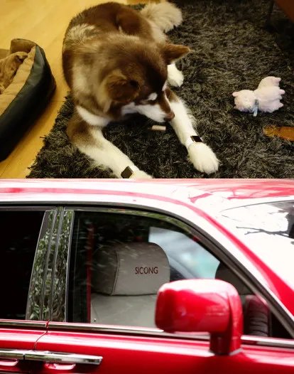 曝王思聪红色豪车 揭秘其过往炫富史