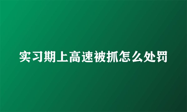 实习期上高速被抓怎么处罚