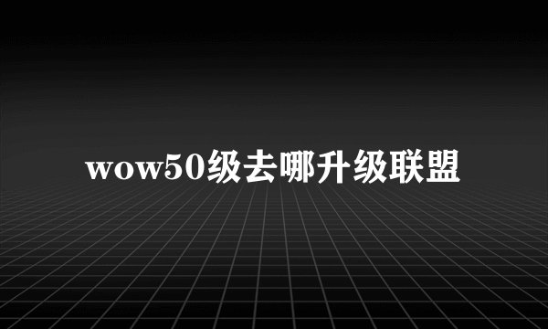 wow50级去哪升级联盟