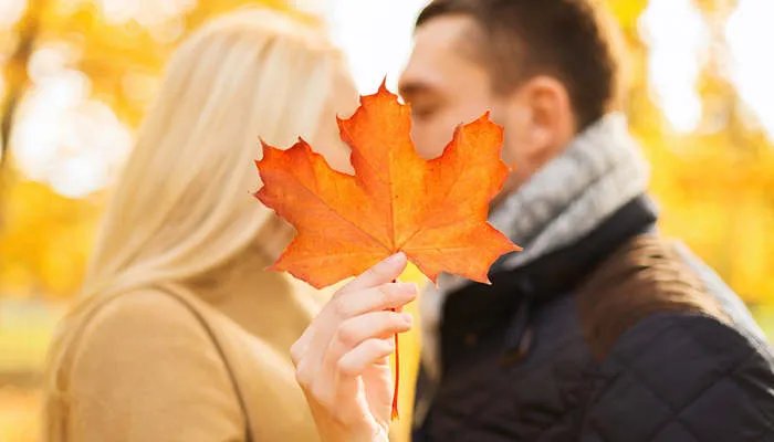 金星哪个星座最专一