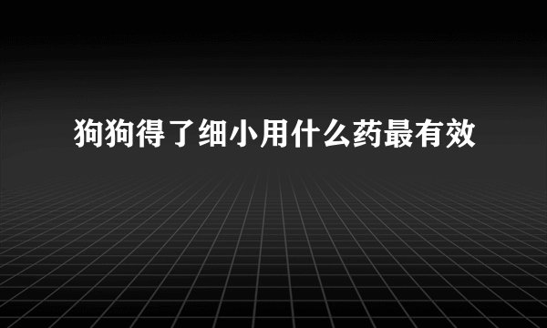 狗狗得了细小用什么药最有效