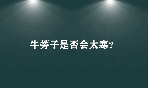 牛蒡子是否会太寒？