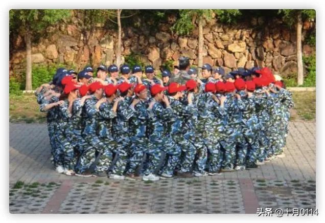 拓展训练有哪些项目?