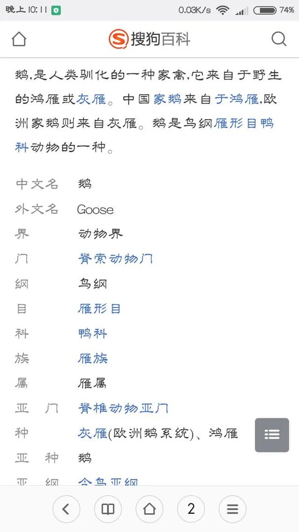 鹅的祖先是什么动物?