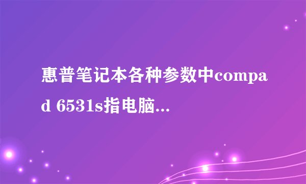 惠普笔记本各种参数中compad 6531s指电脑的型号还是什么