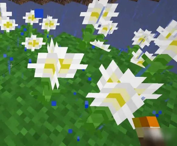 《我的世界手游》怎么养蜜蜂 蜜蜂养殖攻略