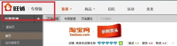 淘宝旺铺专业版多少钱
