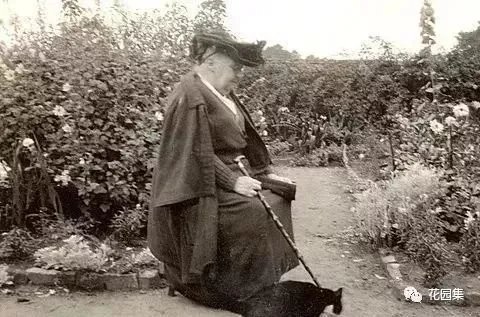 典型英式花园的精髓