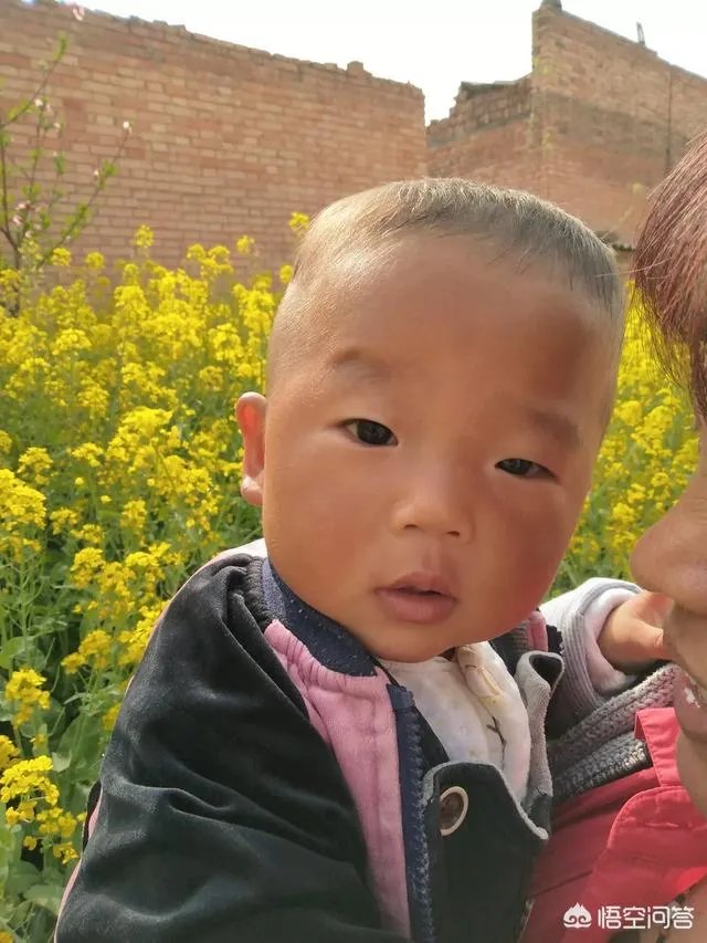 白芨种植前景如何?