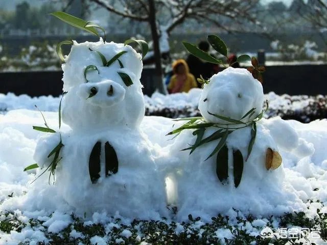 有哪些堆的雪人图片分享？