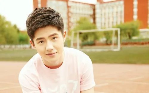 环保大使是哪位明星