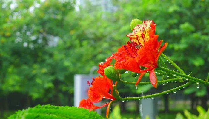 六月你好说说语录