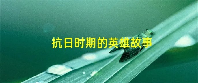 抗日时期的英雄故事
