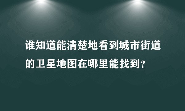 谁知道能清楚地看到城市街道的卫星地图在哪里能找到？