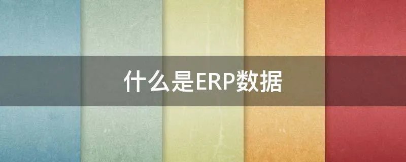 什么是ERP数据