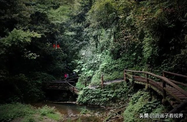 成都青城山好玩吗？