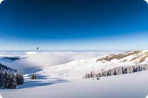 【跌宕】的意思是什么？【跌宕】是什么意思？