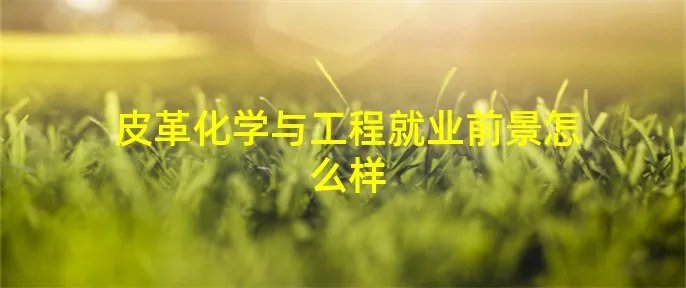 皮革化学与工程就业前景怎么样