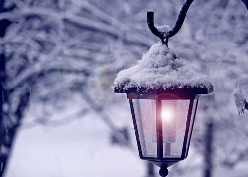 她似星光璀璨(楚苒沈倦)全文免费阅读_她似星光璀璨最新章节列表