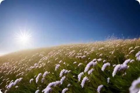 了不起的周先生详细资料大全